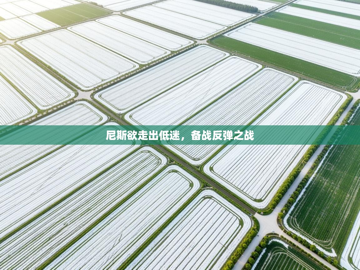 尼斯欲走出低迷，备战反弹之战  第1张