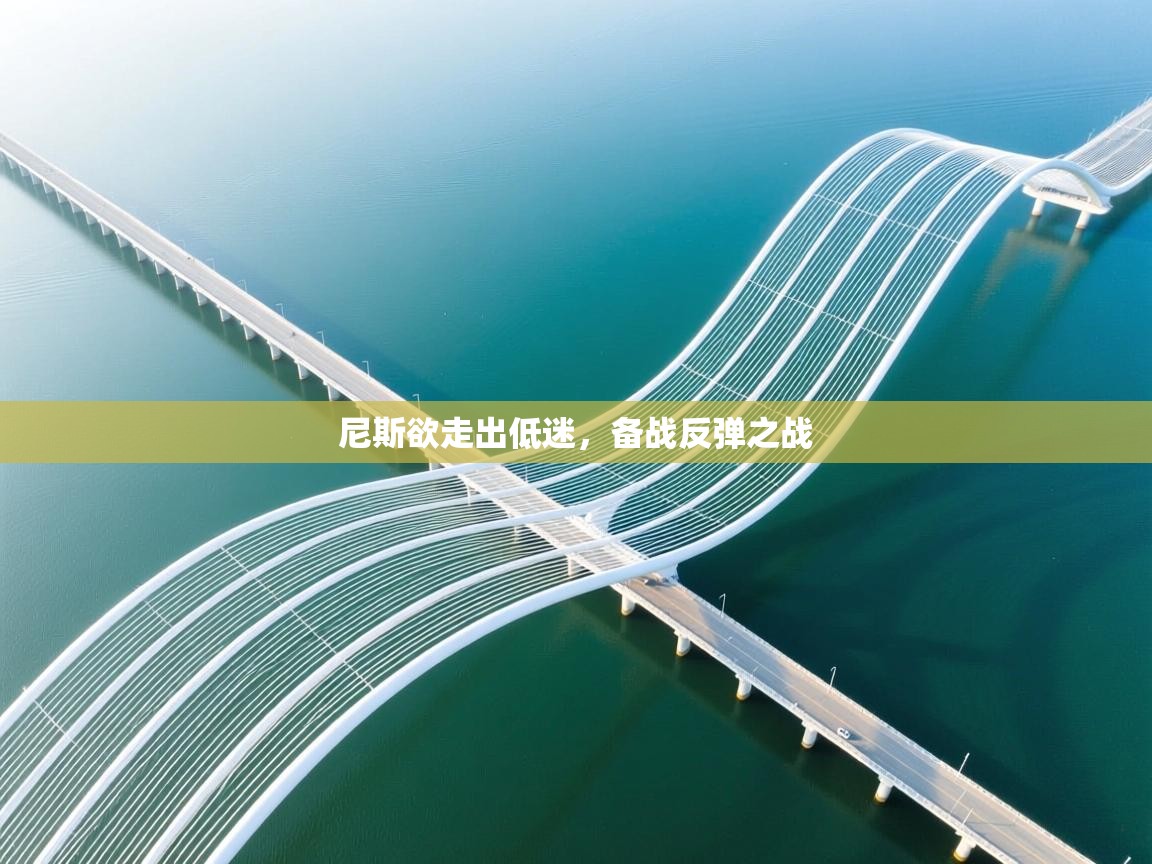 尼斯欲走出低迷，备战反弹之战  第2张