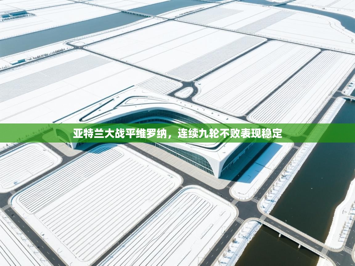 亚特兰大战平维罗纳，连续九轮不败表现稳定  第2张